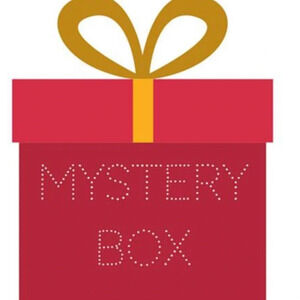 Dresses skirts Resellers mystery box  15-20 items
